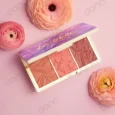 پالت رژگونه tartelette تارت