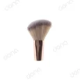 براش CG12A میچانو