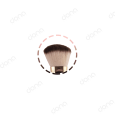 براش SP81 گراف