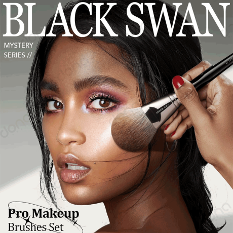 ست براش 21 تیکه Black Swan ایگشو اصل