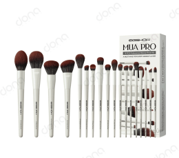 خرید ست براش 18 تیکه Professional ایگشو