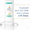 مام استیک ضد تعریق Rejuvenate داو