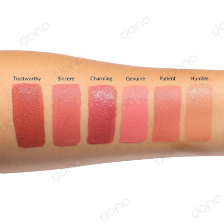 تست رنگ ست رژلب مایع دبالم مدل Nude